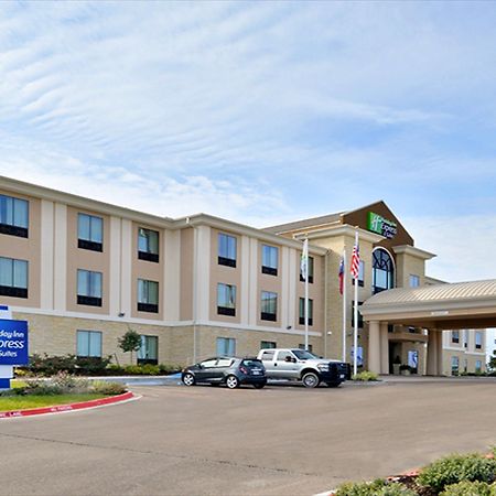 Holiday Inn Express&Suites Schulenburg, an IHG Hotel Exterior foto